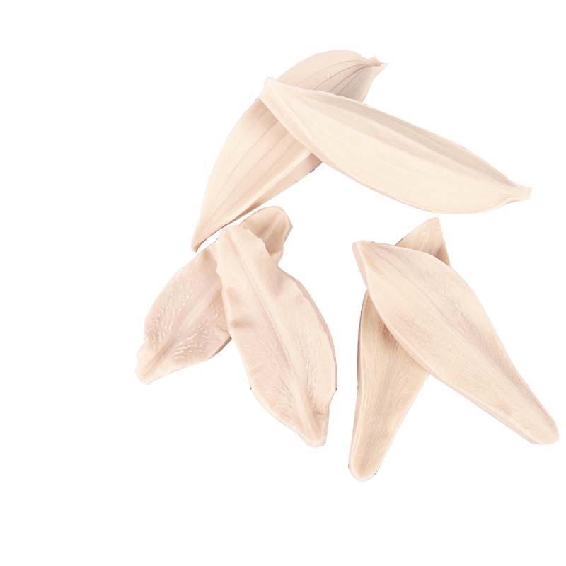 Khuôn silicon nhấn tạo hình cánh hoa ly cho hoa đất sét Nhật Bản, bánh kem