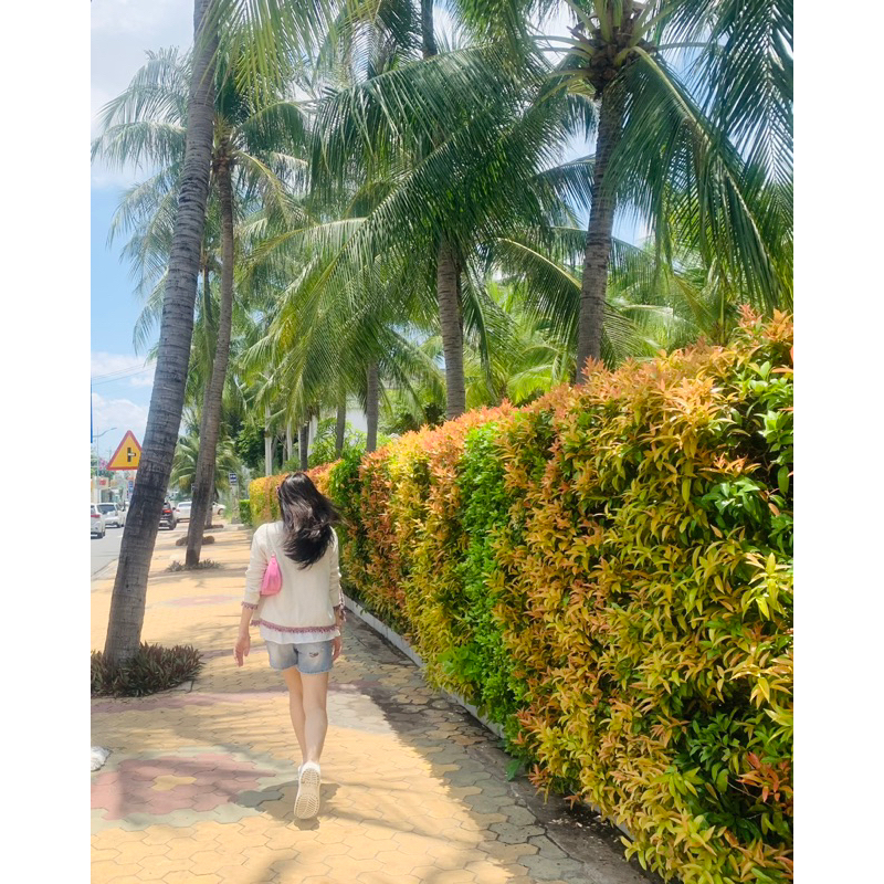 Túi đeo chéo Raffia