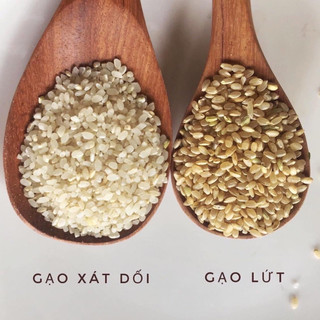 Combo 10kg Gạo Japonica