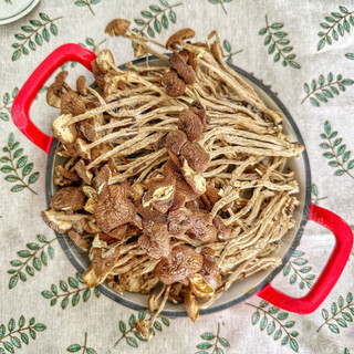 Nấm chè sấy khô - túi 100gr