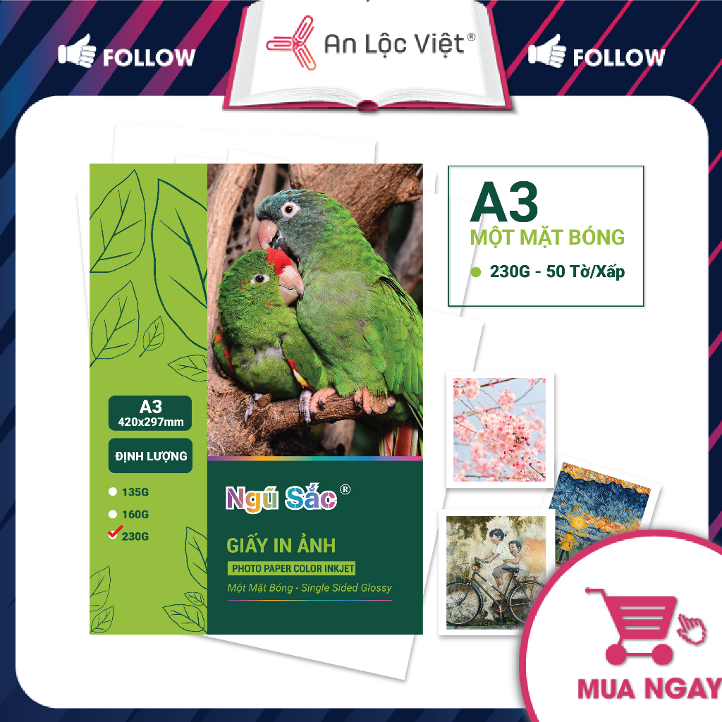 Xấp = 50 Tờ Giấy In Ảnh A4 - A3 1 Mặt Bóng ĐL 160gsm, 180gsm, 210gsm, 230gsm, 260gsm in màu đẹp
