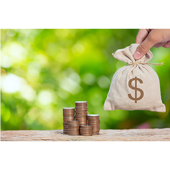 Đèn LED chiếu pha Năng Lượng Mặt Trời RẠNG ĐÔNG CP03.SL, đèn pha NLMT 300w, 200w, bảo hành 2 năm