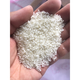Gạo Tấm Thơm ST25 - Mềm cơm Tơi hạt