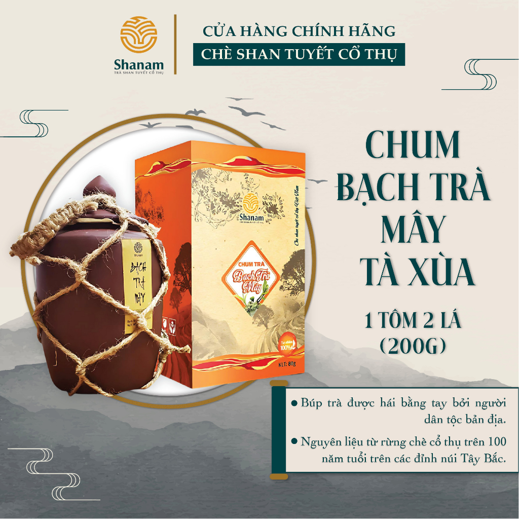 CHUM BẠCH TRÀ MÂY TÀ XÙA/1T2L/200G