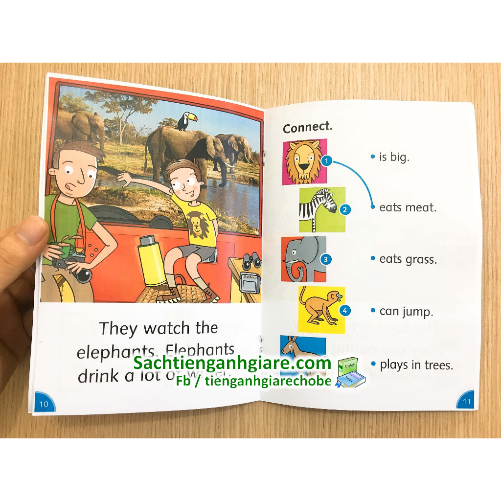 Dolphin Reader 1 - 8 cuốn