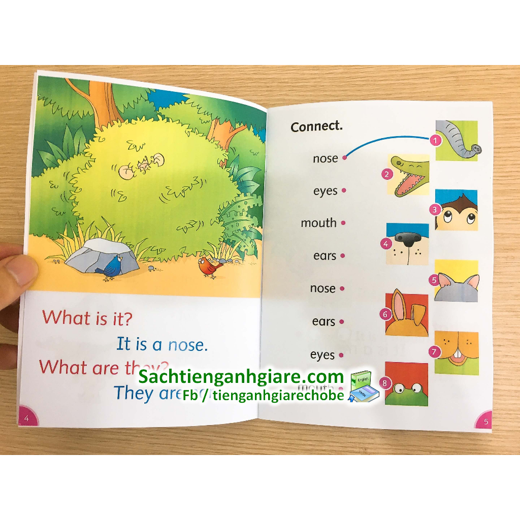 Dolphin readers Starter- 8q