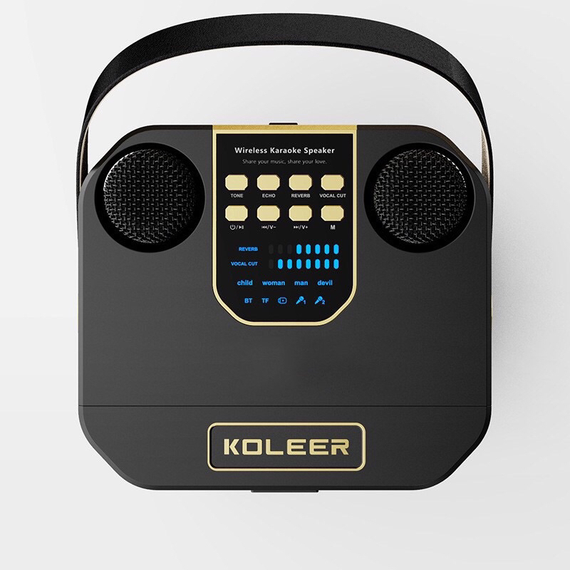 Loa Karaoke Xách Tay Mini,Tặng Kèm 2 Micro Không Dây