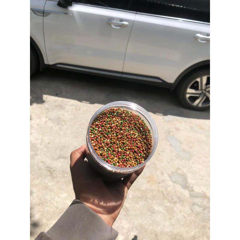 Cám 7 Màu cho chim Sinh Sản