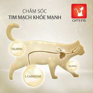 Thức ăn hạt khô Cateye Premium dành cho mèo mọi lứa tuổi