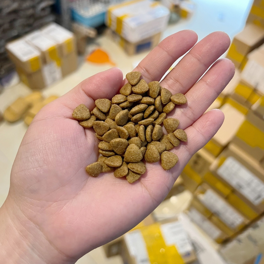 Thức Ăn Hạt Cho Mèo Catsrang Gói 500g, 1kg