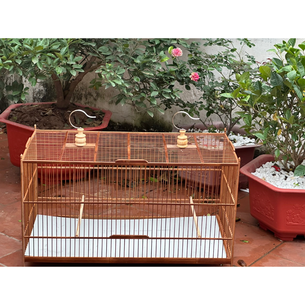 Khung lồng tập lực chào mào, chích chòe tự ráp tre kích thước dài 60cm,80cm