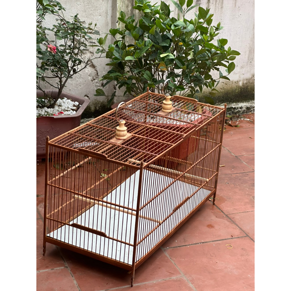 Khung lồng tập lực chào mào, chích chòe tự ráp tre kích thước dài 60cm,80cm