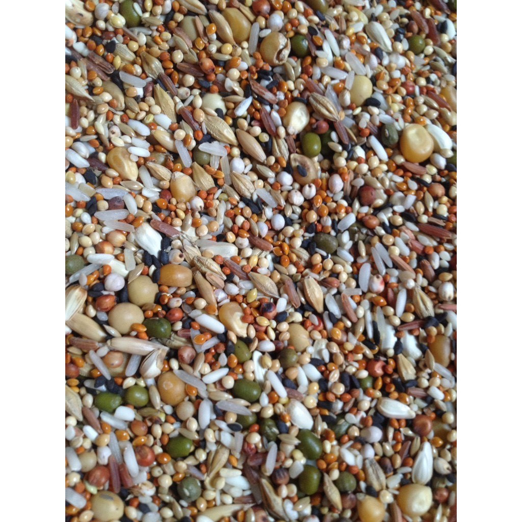 Ngũ cốc đặc biệt Anh Đức gồm 12 loại hạt dinh dưỡng cho chim cu gáy, vẹt, hamster