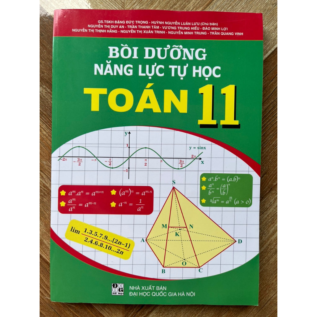 Sách - Bồi dưỡng năng lực tự học Toán 11