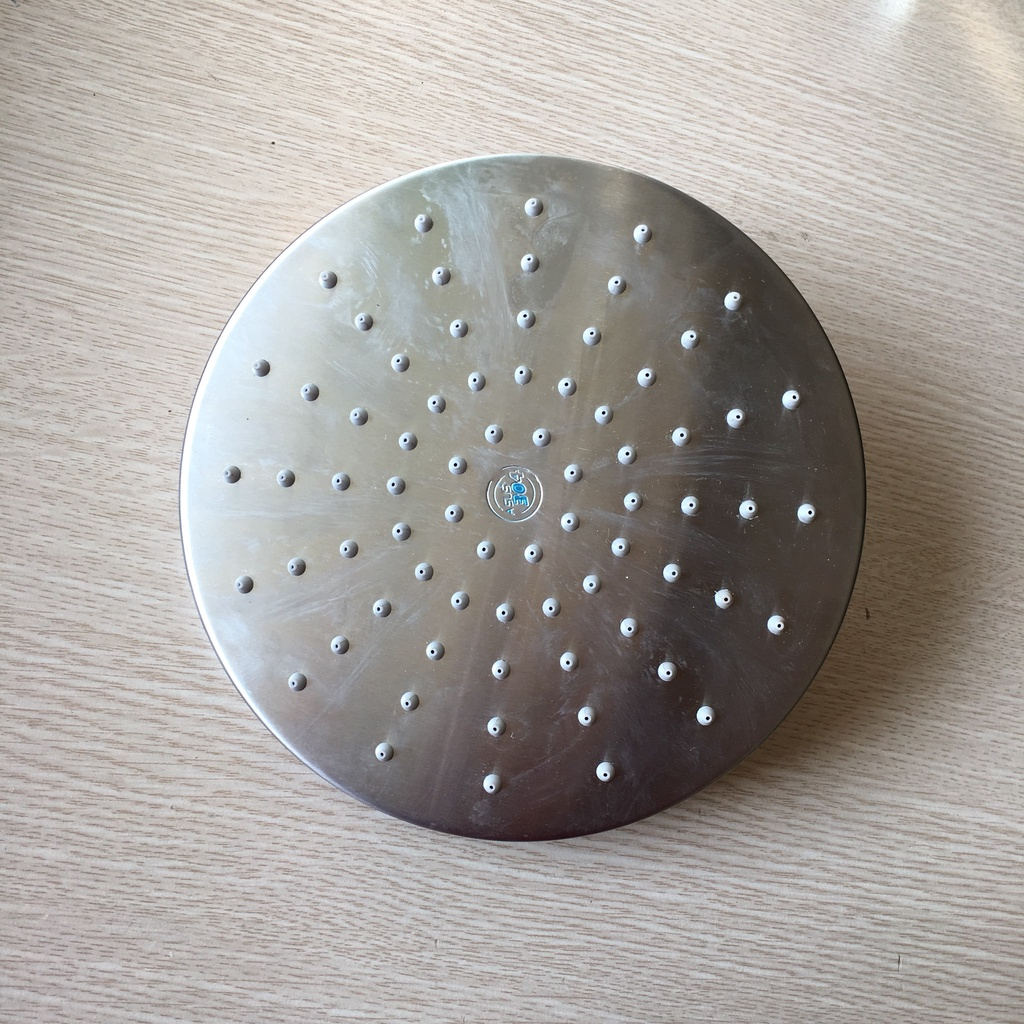 Bát sen tắm đứng INOX 304 trắng mờ, đài sen nhà tắm đường kính 20cm cổ xoay linh hoạt  - TS025