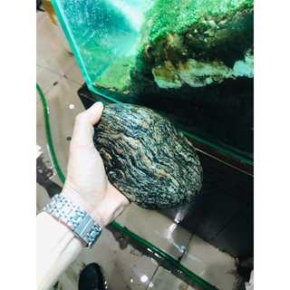 Đá cuội vân mây
