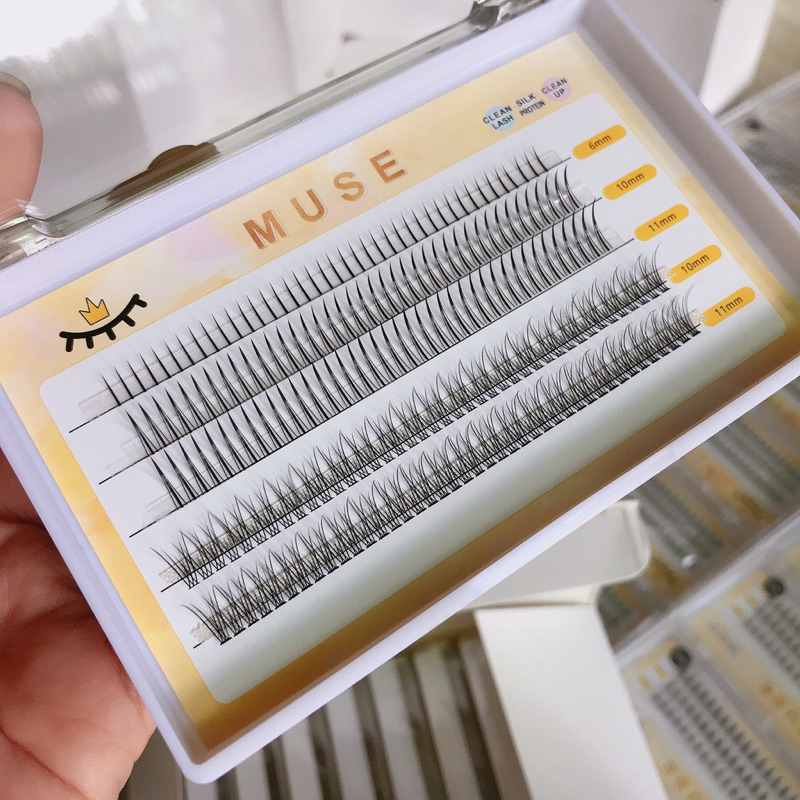 Lông Mi Dưới Tách Sợi Muse