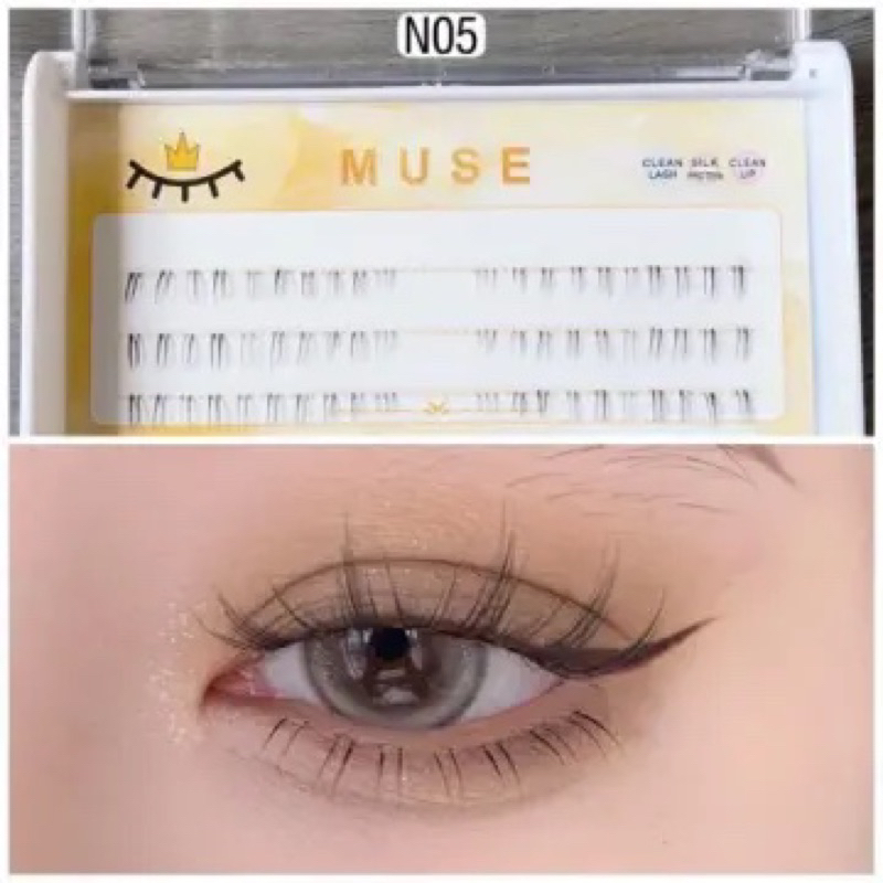 Lông Mi Dưới Tách Sợi Muse