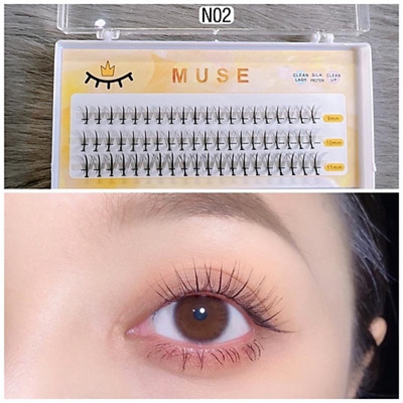 Lông Mi Dưới Tách Sợi Muse