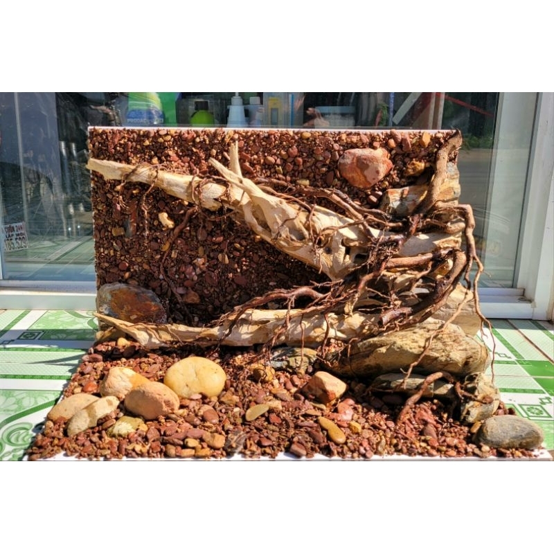 Layout vách theo kích thước