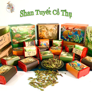 1 Gói Trà Rừng Shan Tuyết [ THƯỢNG HẠNG ] Cổ Thụ 300 Tuổi Hà Giang Chè 5Gr Ngon Xanh Hữu Cơ Tự Nhiên Trà Đạo Quà Tặng