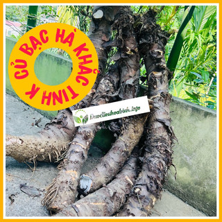 Củ Bạc Hà Núi lâu năm 5kg trị bách bệnh🍀