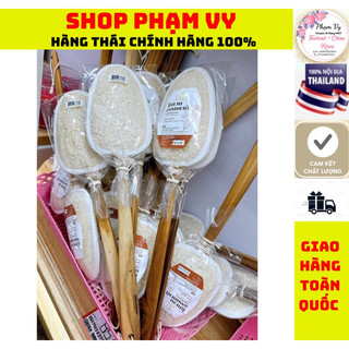 Kì lưng xơ mướp thái lan, cây chà lưng