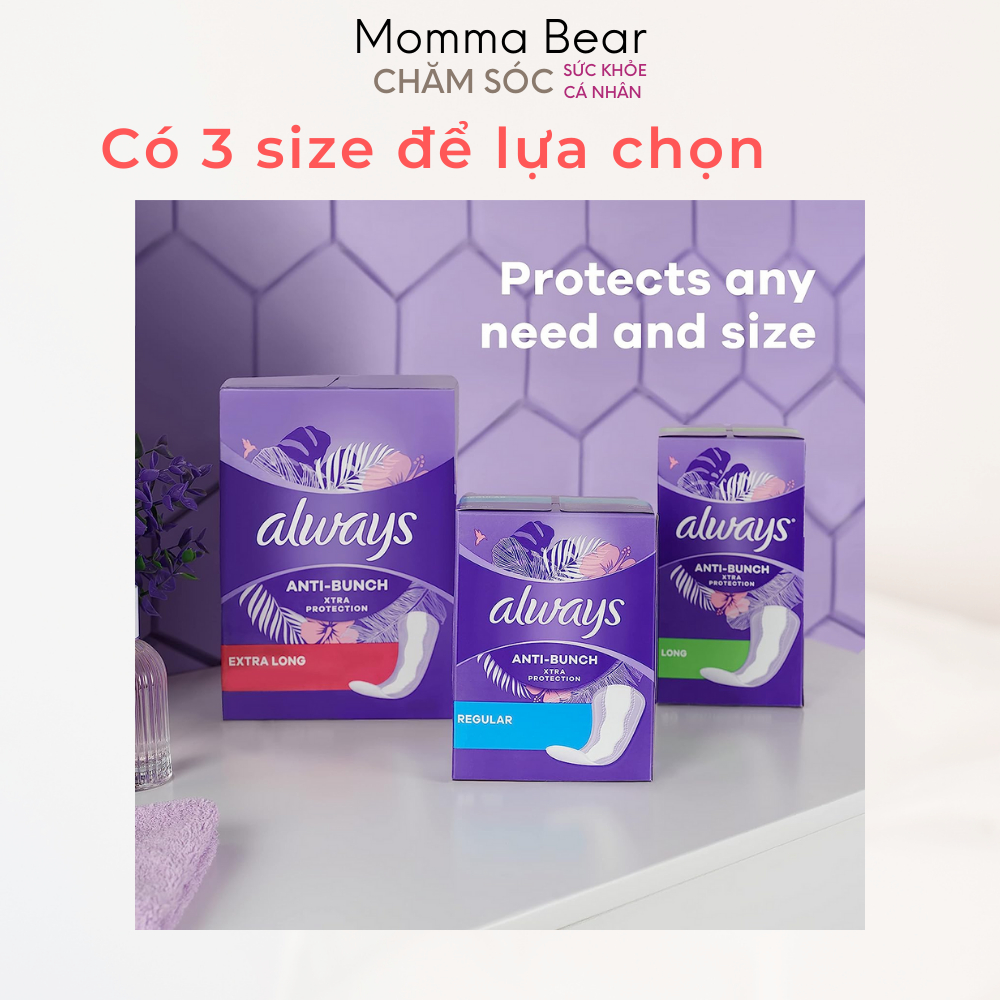 Băng vệ sinh hằng ngày Always Anti-bunch, không cánh, quần đáy rộng, ngăn mùi, thấm hút tốt, hàng Mỹ - Momma Bear