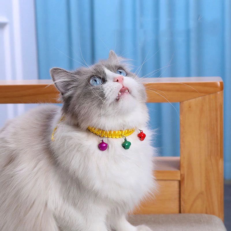 VÒNG CỔ NHIỀU CHUÔNG MIX MÀU CHO CÚN VÀ MÈO