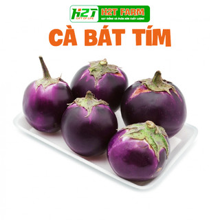 Hạt giống cà bát tím