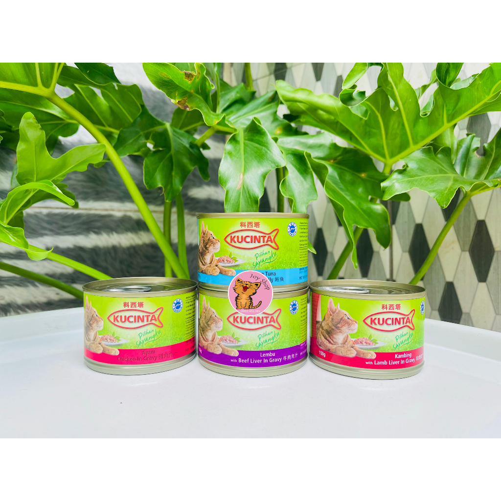 Pate Kucinta Cho Mèo