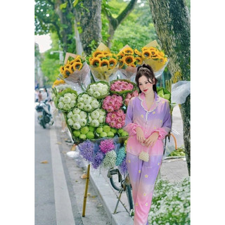 ĐỒ BỘ LỤA CHIM PHƯỢNG VÀ HOA DÁNG TIỂU THƯ SANG