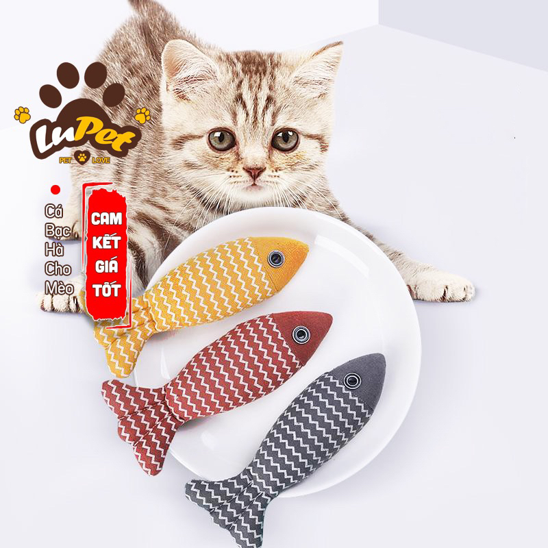 Cá Bạc Hà Cho Mèo, Đồ Chơi Nhồi Bông Có Catnip Cho Mèo