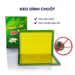 Keo dính chuột, bẫy chuột siêu dính mouse traps xanh trắng