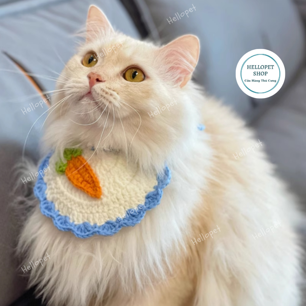 Set mũ len yếm len cho chó mèo, Nón len, vòng cổ len nhiều màu dễ thương cho thú cưng đủ size cho chó mèo đến 8kg