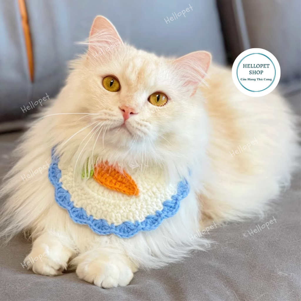 Set mũ len yếm len cho chó mèo, Nón len, vòng cổ len nhiều màu dễ thương cho thú cưng đủ size cho chó mèo đến 8kg
