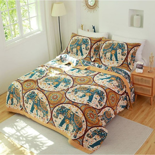 S22_chăn xô hè thu organic cotton dòng cao cấp