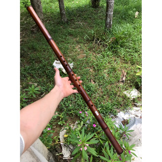 Tiêu C4 trúc hun khói, động tiêu bát khổng cho người mới bắt đầu