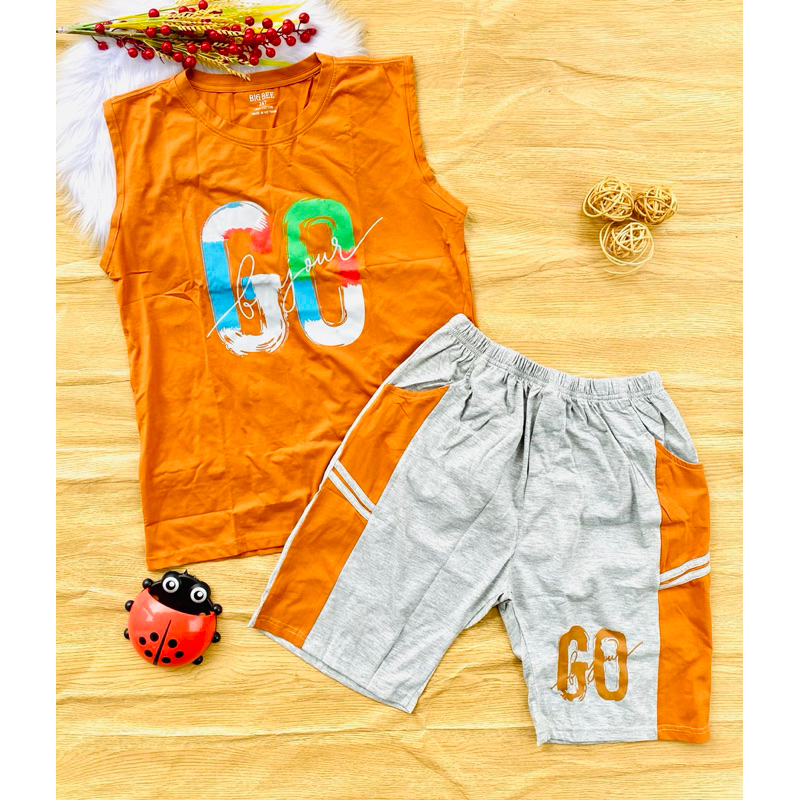 🚗 Bộ cotton hàng shop bé trai 60-70kg