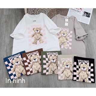 Áo phông gấu Young chất cotton khô 3158 l1 form rộng nam nữ