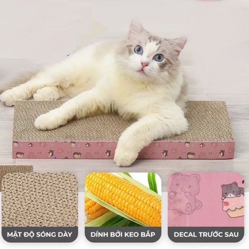 BÀN CÀO MÓNG CHO MÈO KÈM CANIP , BÀN CÀO MÓNG MÈO, GIÚP MÈO CÀO SẠCH VÀ MÒN BỚT MÓNG