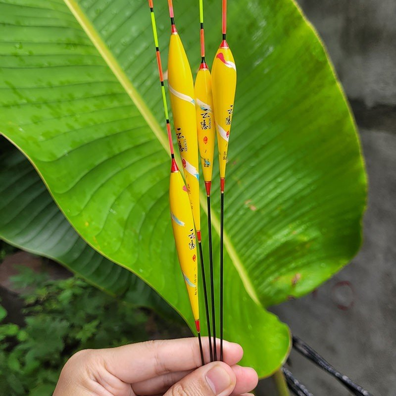 Phao câu đơn câu đài hoàng vũ câu cá nước ngọt rô diếc chép trắm trôi docaulure