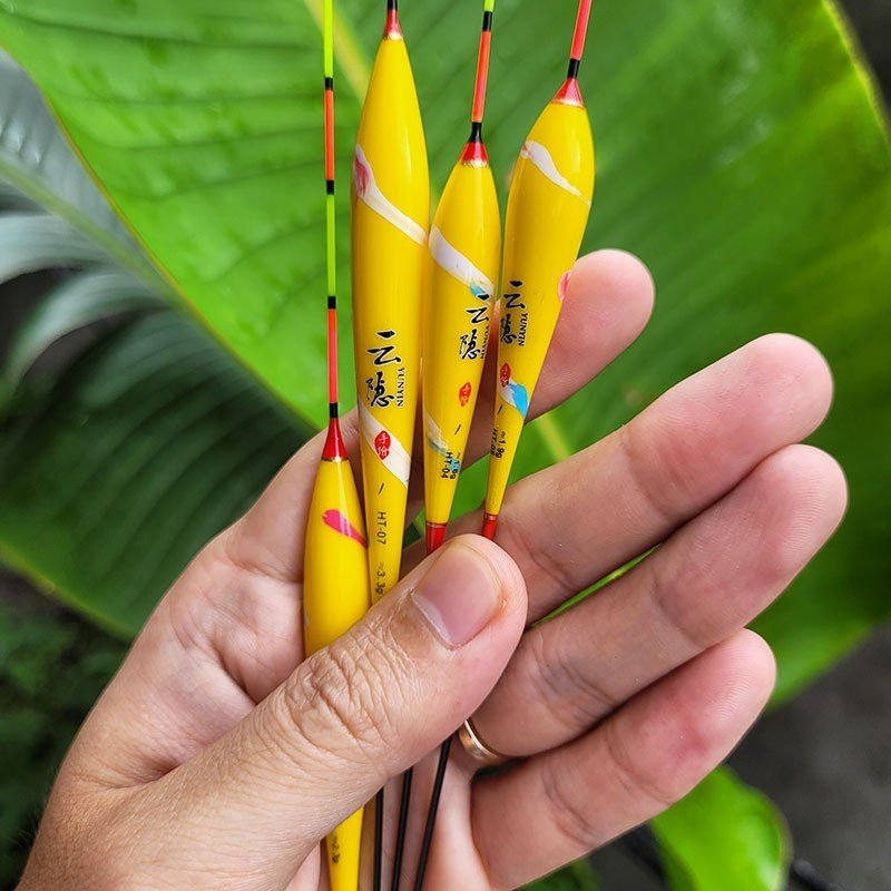 Phao câu đơn câu đài hoàng vũ câu cá nước ngọt rô diếc chép trắm trôi docaulure