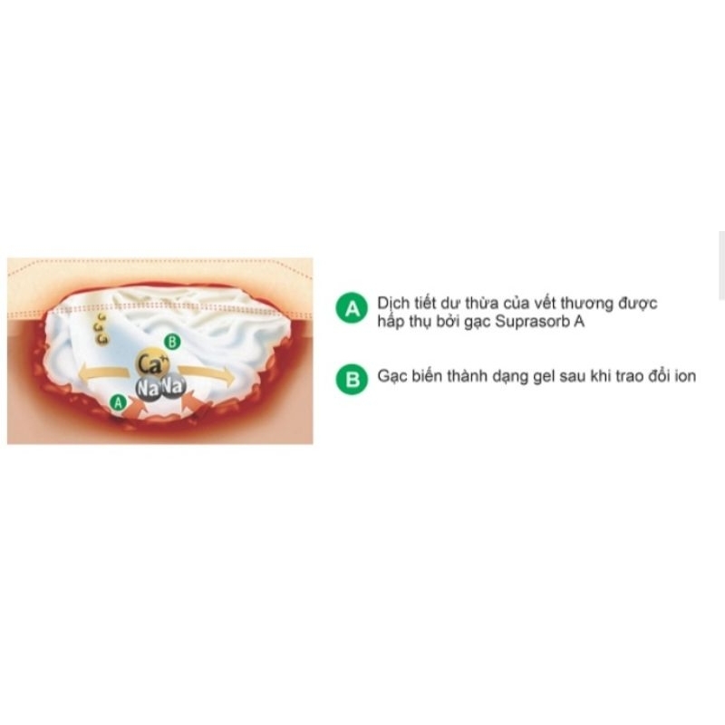 Gạc hút dịch tạo gel Suprasorb A 10 x10cm