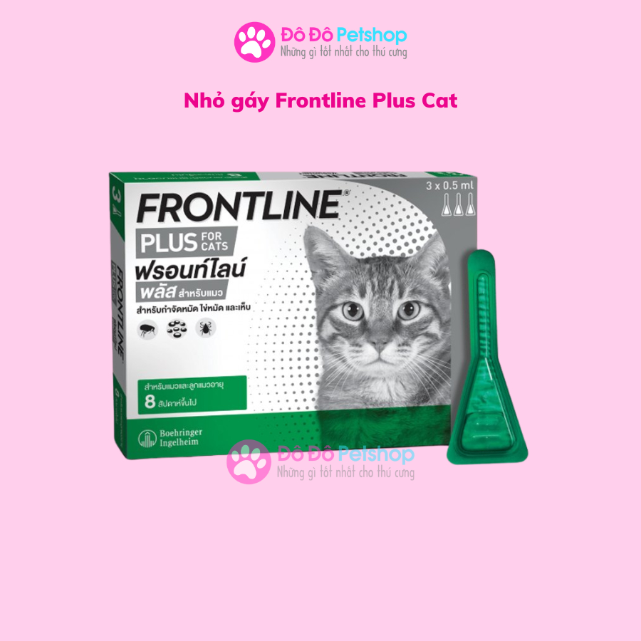 Frontline Plus cho mèo - trị ve rận nhỏ gáy cho mèo (1 ống)