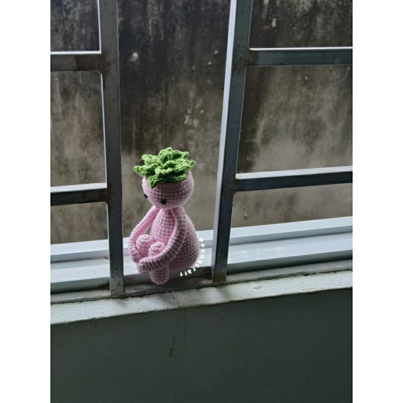 Chậu len dô tri decor kèm nến led