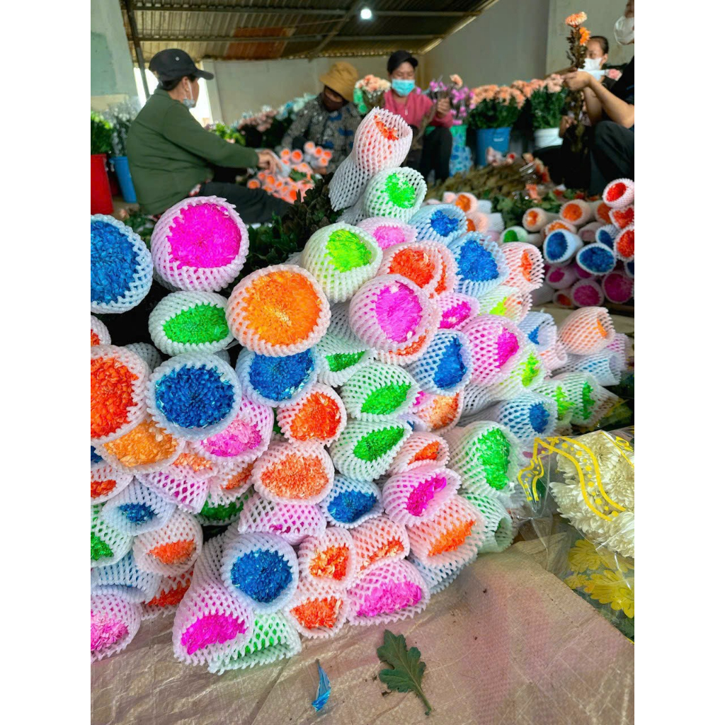 Thuốc nhuộm hoa tươi, màu nhuộm hoa chai 100MLđổi màu theo công nghê Israel, nước nhuộm hoa tươi lên chuẩn màu, tươi hoa