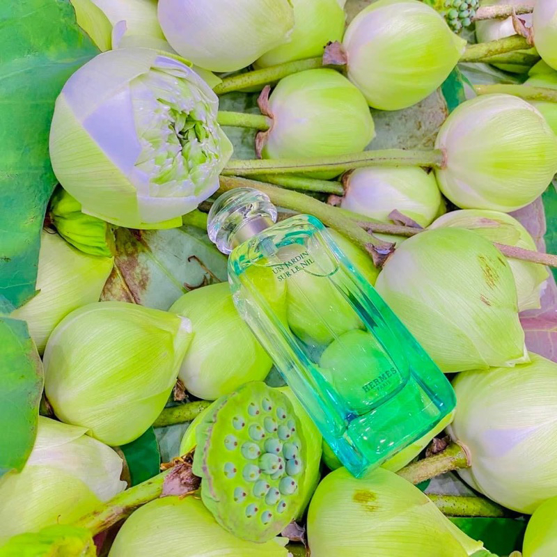 Nước hoa Hermes Un Jardin Sur Le Nil 30ml