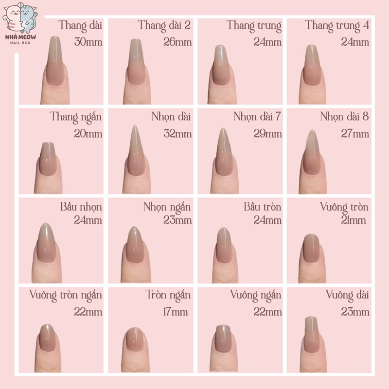 Nail Box thiết kế Loang Cánh Đá