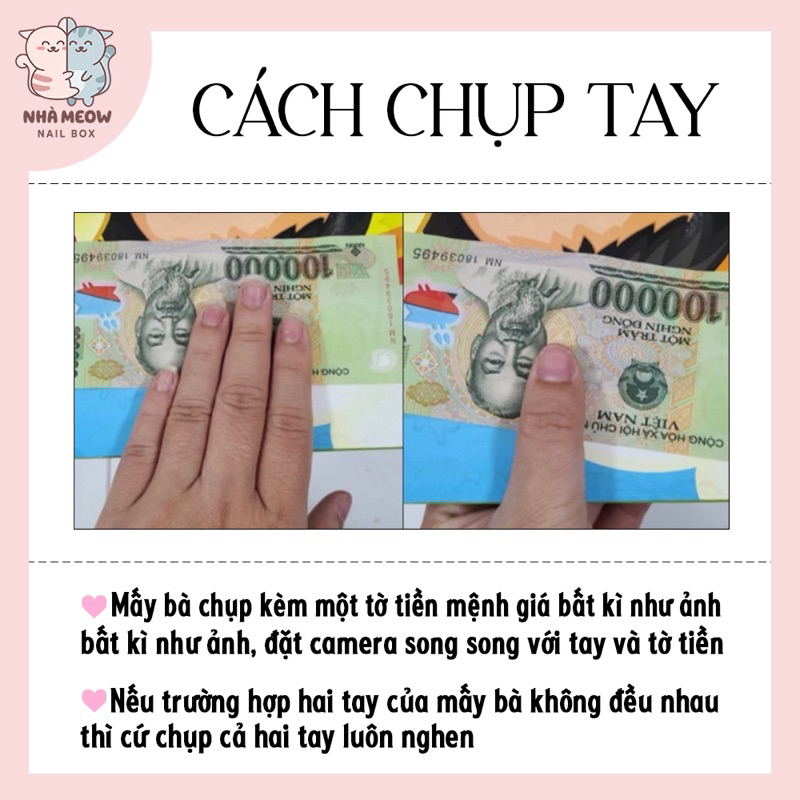 Nail Box thiết kế Loang Cánh Đá